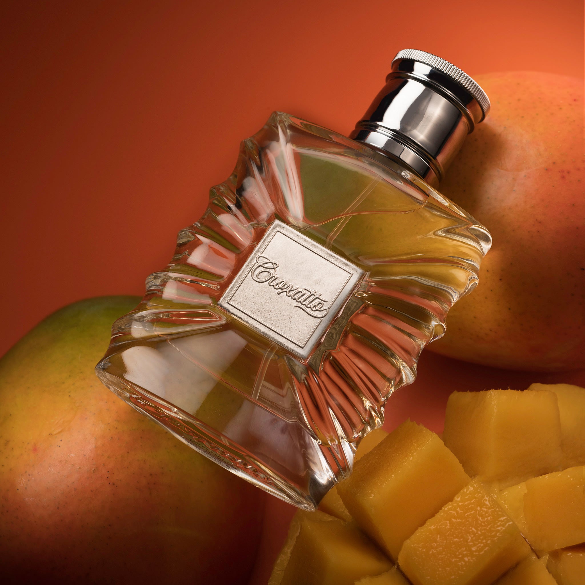 Croxatto Woman Black Friday 2024